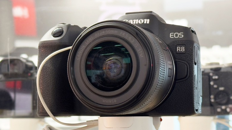 Canon EOS R8 on display shelf