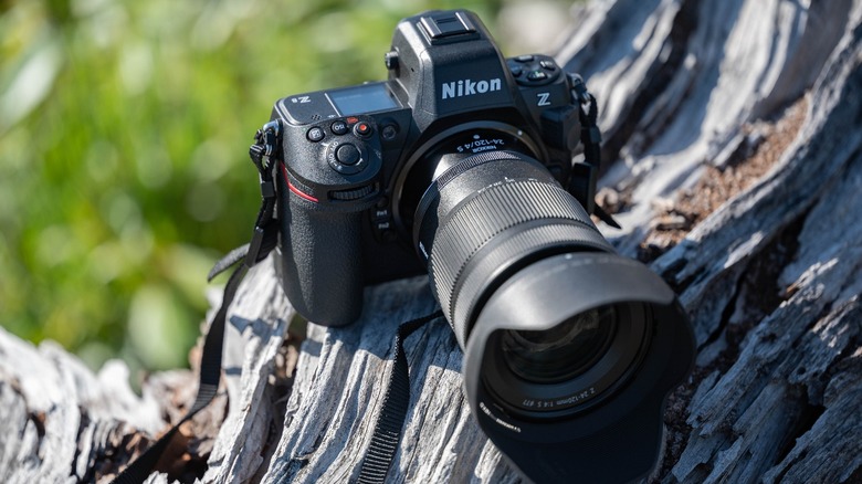 What you need to know about the new Nikon Z9: Digital Photography Review