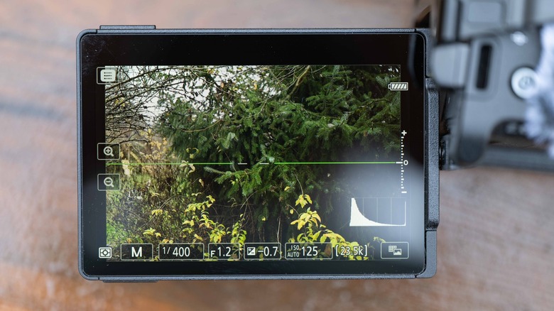 The articulating display of the Nikon Zr showing a trees on the screen.