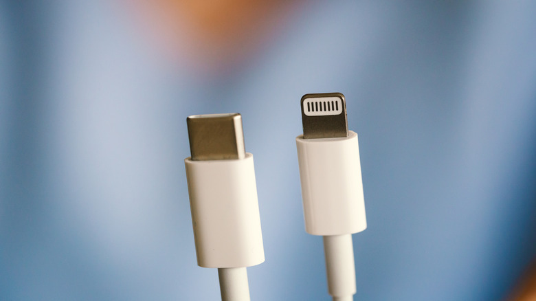 close-up foreground shot of a Lightning and USB-C cable