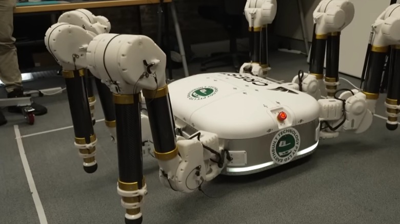 Charlotte Australian spider robot on display.