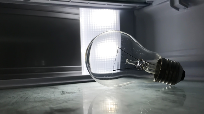 Light bulb in a refrigerator