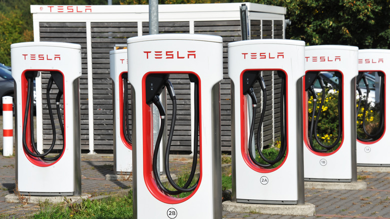Tesla Supercharger stations lined up