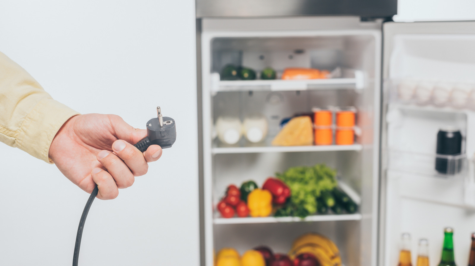 Not 24 Hours: How Long Should You Wait Before Plugging In A Refrigerator?