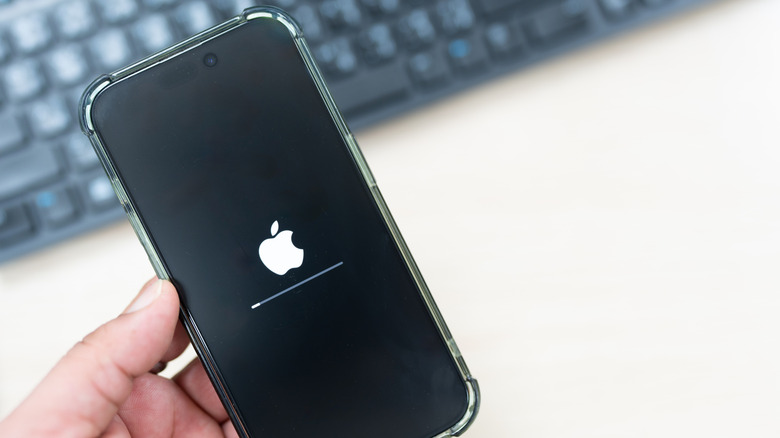 iPhone resetting