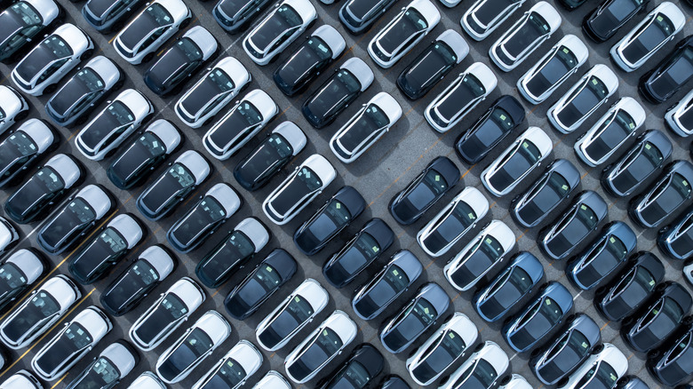 Top-down aerial view of new cars parked awaiting shipping