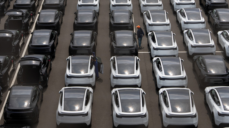 Overhead view of Tesla Model Y SUVs parked at port in Yokohama, Japan.