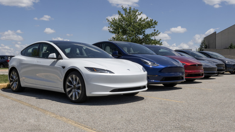 Tesla EV electric vehicles parked in a row