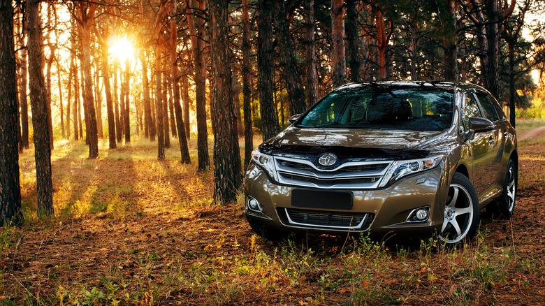 toyota venza in woods during sunset