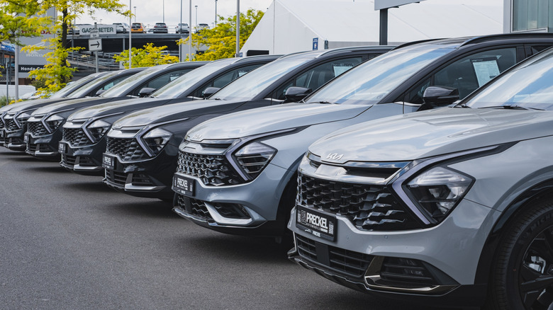 A lineup of silver and gray Kia SUVs