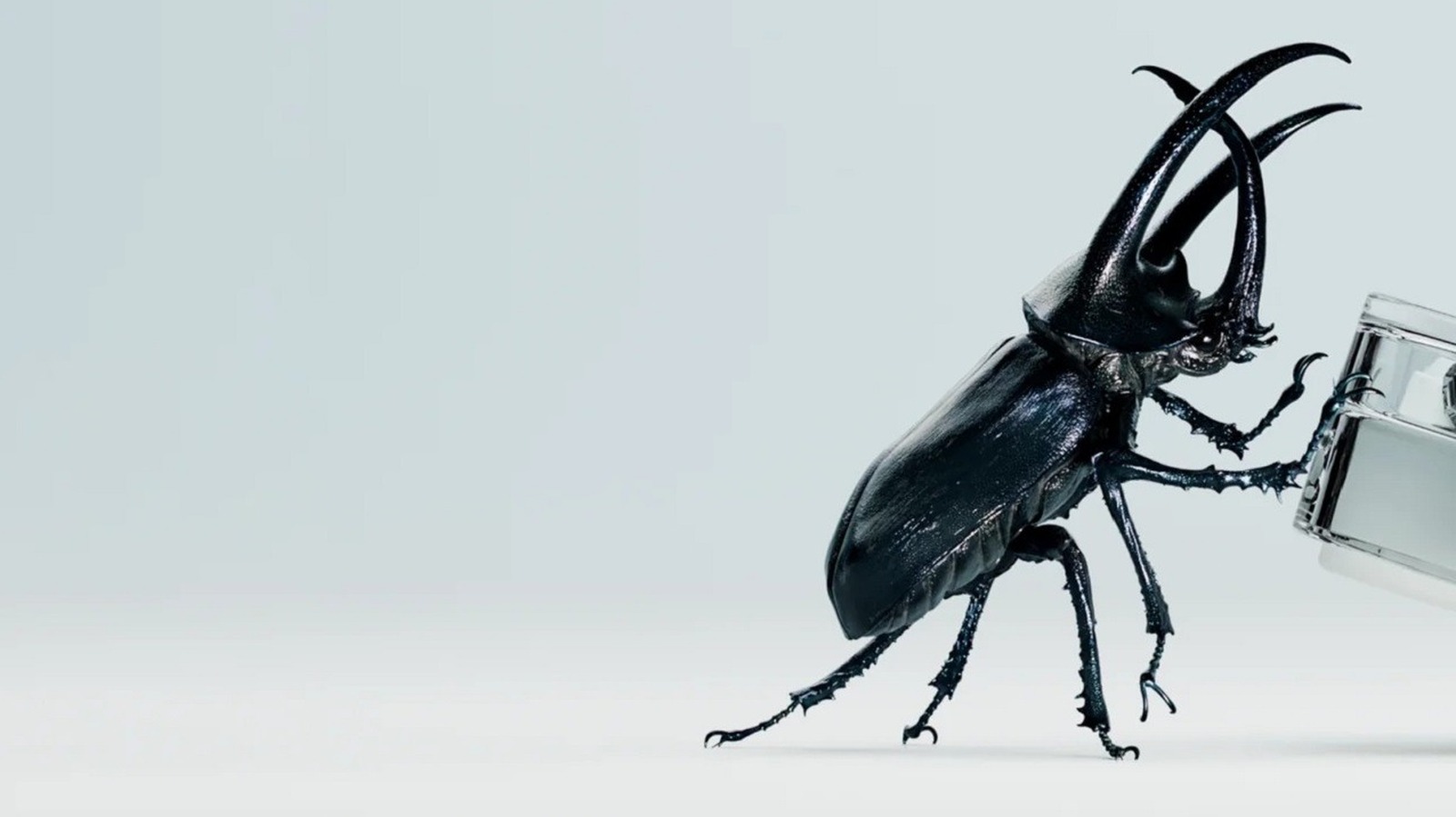 NieR Re[in]carnation Introduces 2P For NieR Automata Crossover With New