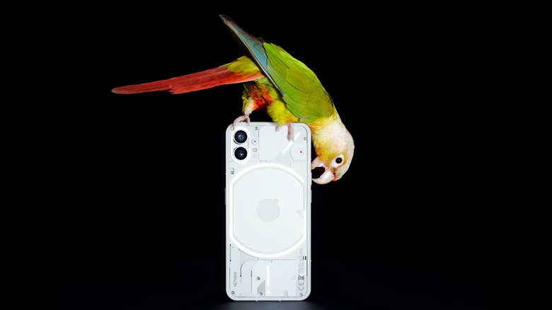 Nothing phone and parrot