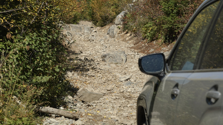 2026 Subaru Forester Wilderness in front of a tough trail