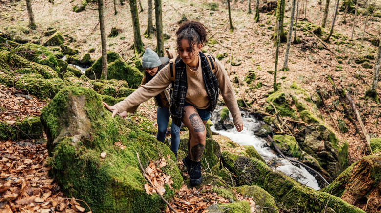 Representational image of  hikers