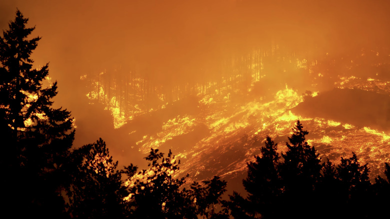 Footage of Oregon Interstate 5 Milepost 97 wildfire