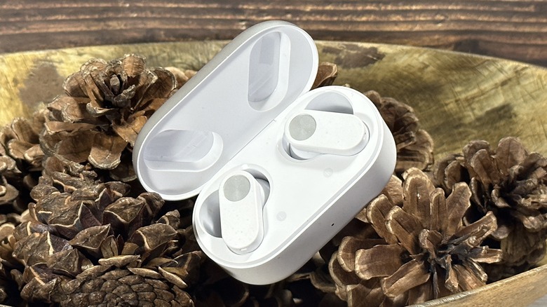 Earbuds in pinecones