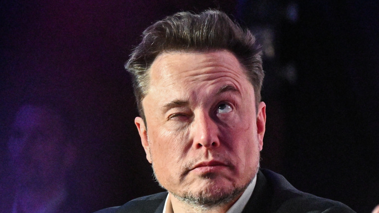 Tesla CEO Elon Musk. 