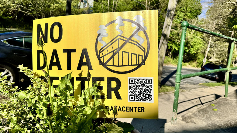 Yellow sign on a tree-lined road displaying the text 