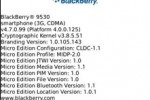 blackberry_storm_4-0-7-99_leak