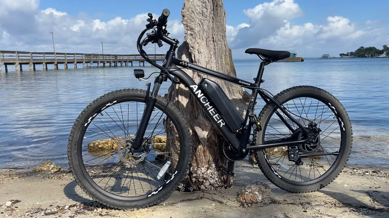 Ancheer Gladiator electric bike at the beach, leaning up against a piece of driftwood