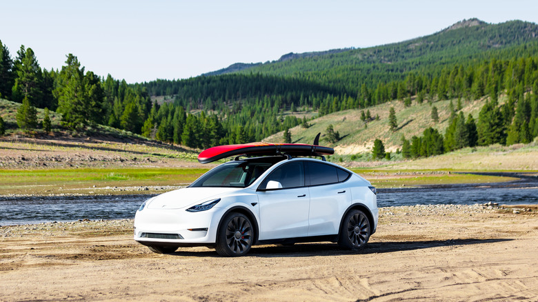 tesla model y