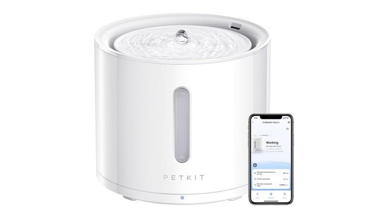 White pet water fountain