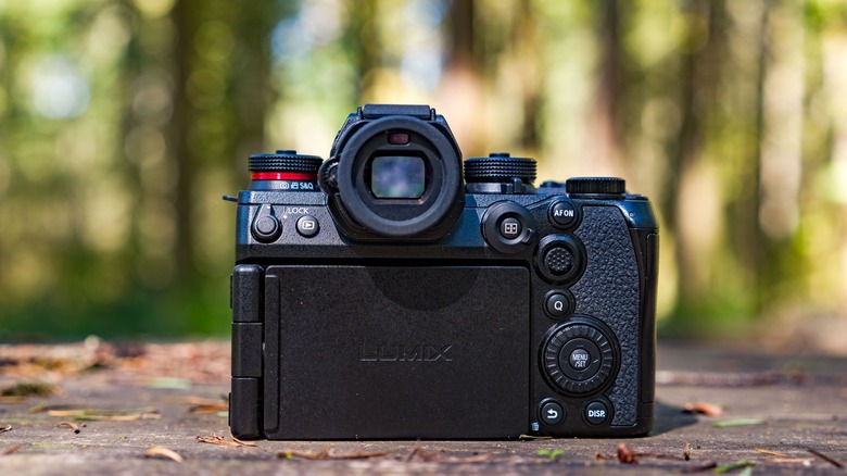 Rear view of the Panasonic S1RII on a picnic table with an out of focus forest in the background.