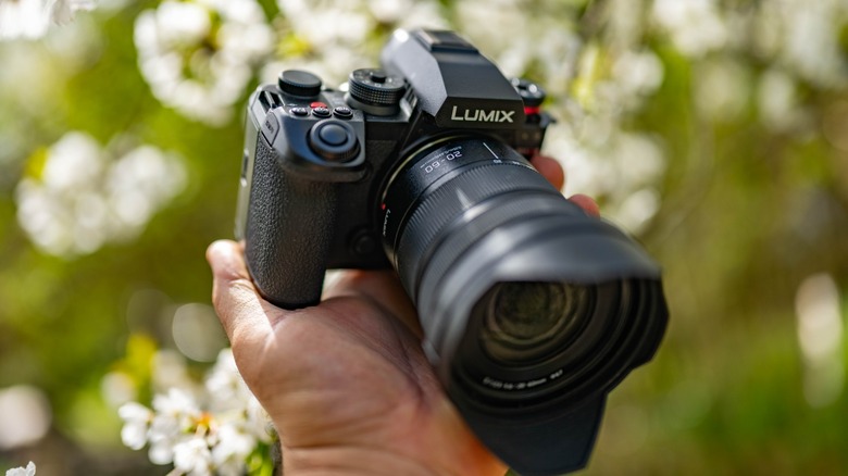 The Panasonic Lumix S1RII held in a hand against an out of focus background of spring flowers.