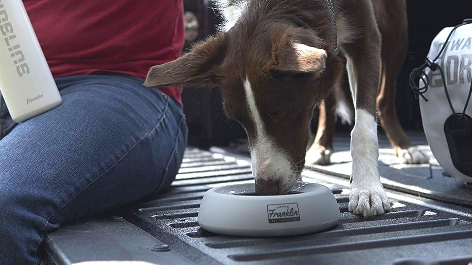 Pet-Proof Your Car With These 13 Amazon Finds With Great User Reviews - SlashGear