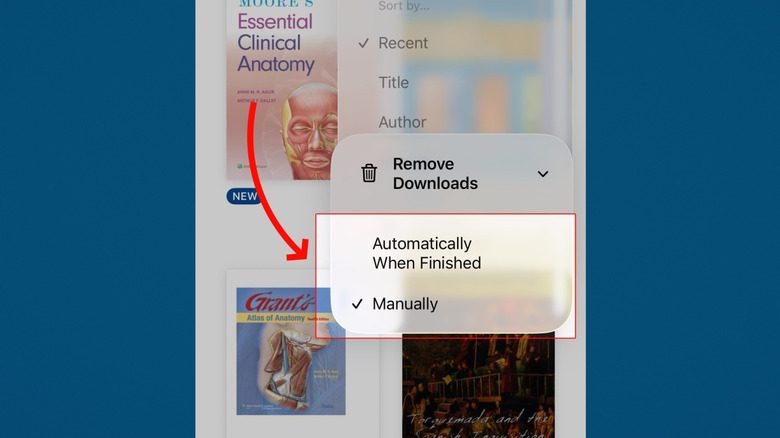 Removing downloads from Apple Books on iOS