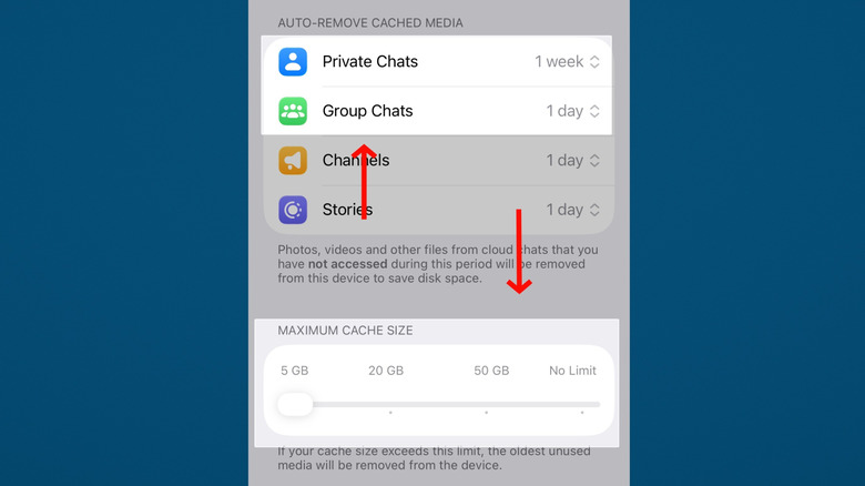 Cache settings in the Telegram app on iOS