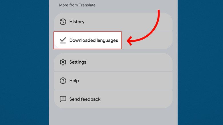 Offline languages in Google Translate