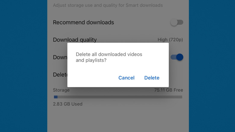YouTube download settings on iOS