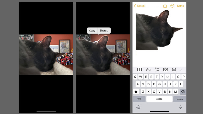 iPhone photo, photo with Cutout highlight, cutout photo pasted into Notes