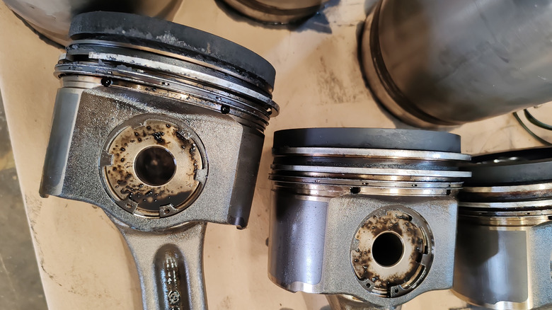 Close-up of three pistons with rings installed
