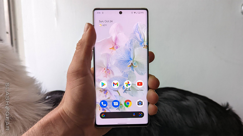 Google Pixel 6