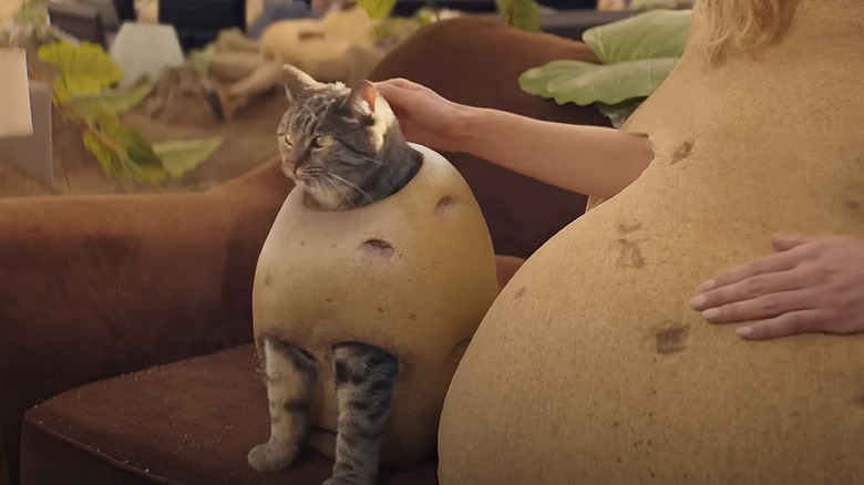 cat in potato costume