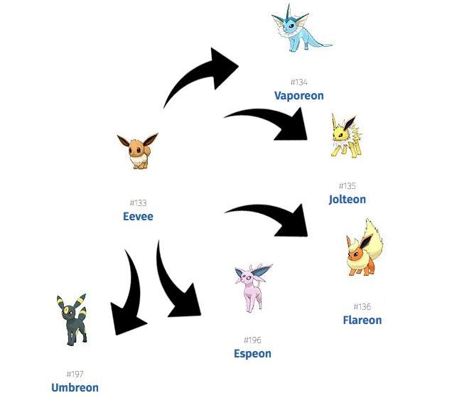 Pokémon Go Eevee Evolution: Gen 2 brings new Eevee evolutions