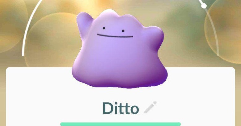 ditto