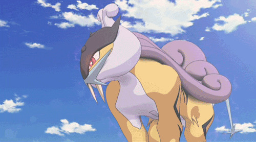 3rd Round- Raikou - Legendary Japanese Imports