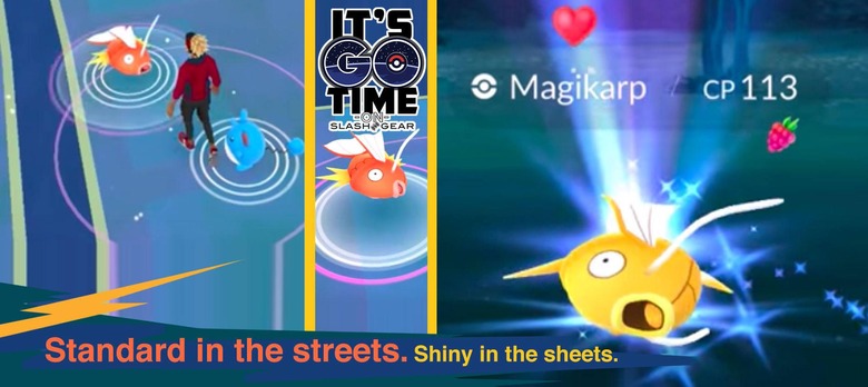 A 'Pokémon GO' Shiny Magikarp/Gyarados Water Festival FAQ