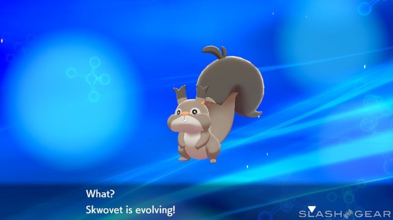 Pokemon Sword and Shield critics take huge swipe at developers with subtle  video - Dexerto