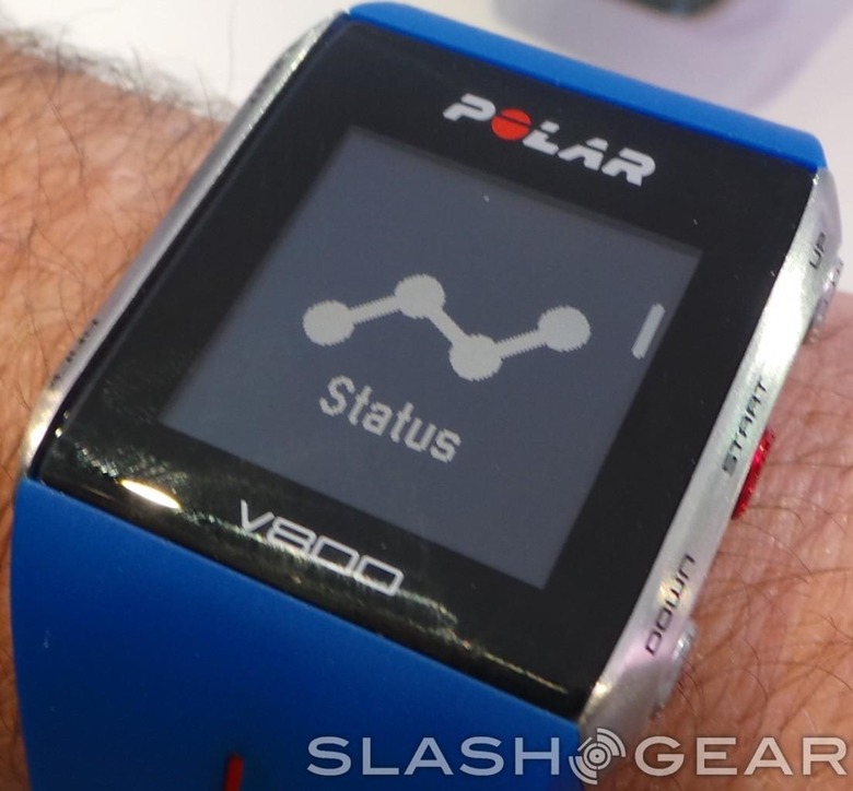 Polar v8 ho