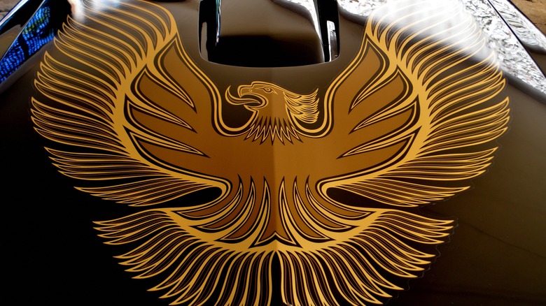 Classic Pontiac Trans Am hood