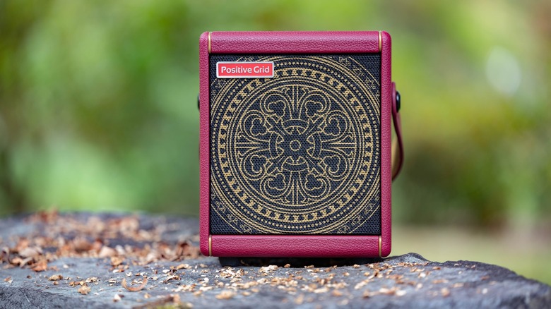 Positive Grid Spark Mini Vai