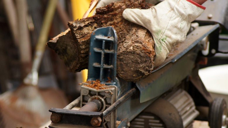 man placing logs in splitters