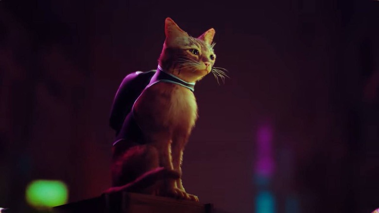 STRAY: Full PS5 Trailer Reveal (the PS5 cat game)