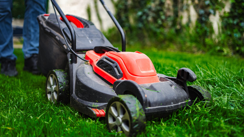 Person using battery powered mower to cut grass