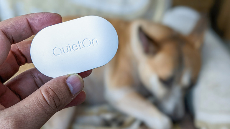 QuietOn 3.1 ANC Earbuds for sleeping
