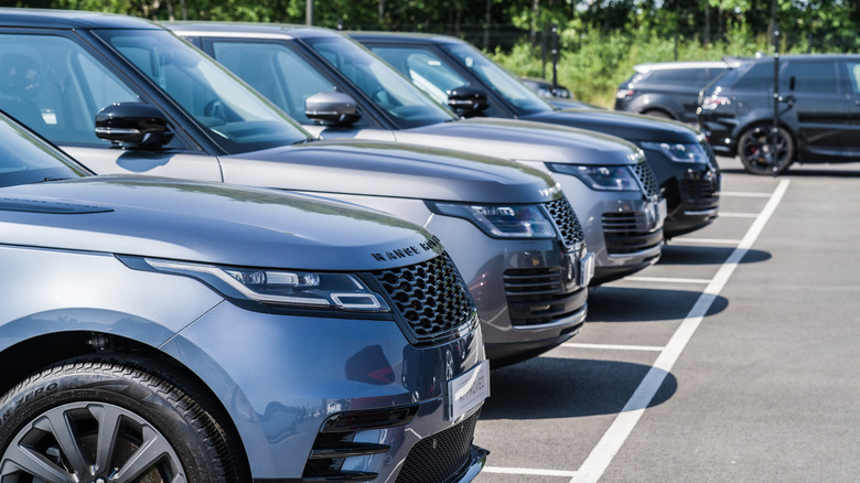 several land rover range rovers at a dealership